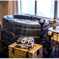 SpaBerry partners with Coast Spas for manufacturing