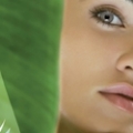 Les laboratoires Camylle lance la Charte d'animation par l'aromath&eacute;rapie, d&eacute;di&eacute;e &agrave; la zone humide du spa