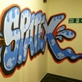 Spatex 2013 report
