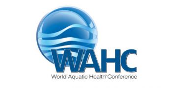 World Aquatic Health Conference comes to Williamsburg in October 2019