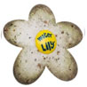Water Lily® absorbs greasy substances