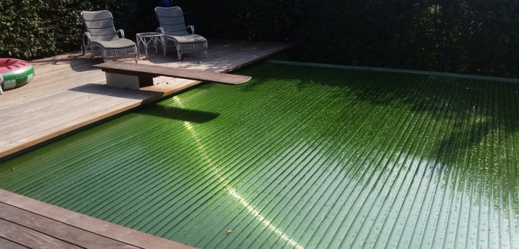 couverture piscine lames Eclipse couleur brume prairie vert anti UV Ocea
