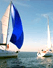 Les Voiles et Balles de Golf de la Piscine 2007 