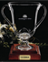 
							Marquis Spas awards its top-notch domestic and international distributors, dealers and sales people
							