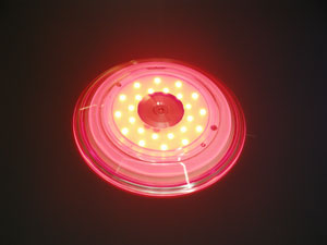 smartlight