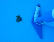 crocojet