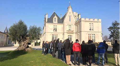 ocedis formation Bordeaux au Chateau Pape ClÃ©ment