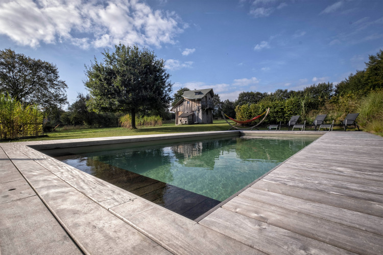 Piscine traitée par la solution Vitii Ocedis Aquatic Science