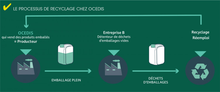 Schéma du processus de recyclage des emballages mis en place par Ocedis.