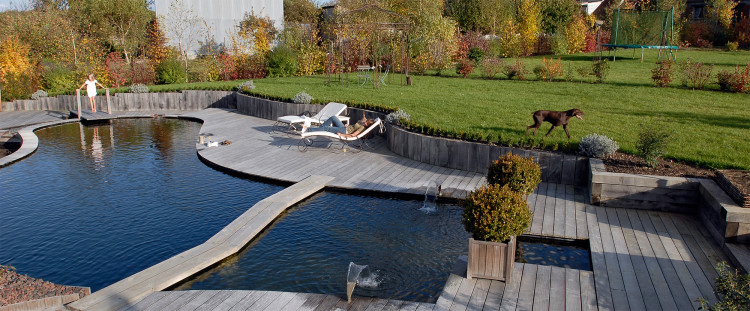 Piscine naturelle réalisée par Côté Jardin