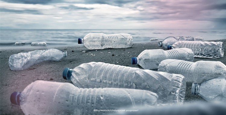 bouteilles plastiques sur la plage
