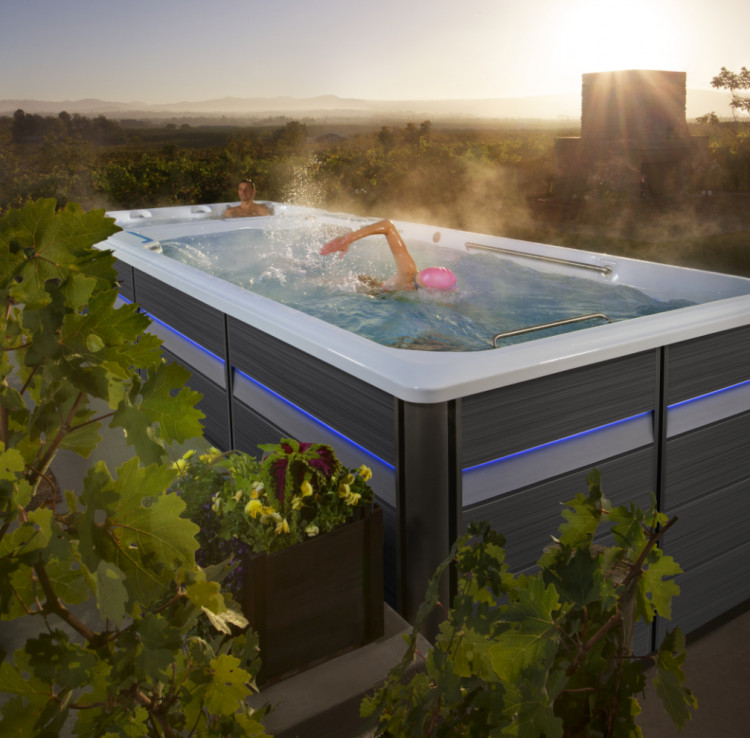 Watkins Wellness® swimspa