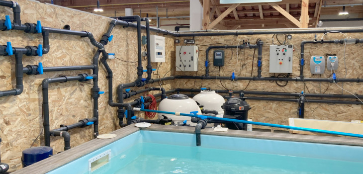 formations,pros,piscine,greta,cfa,aquitaine