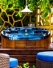 coast,spas,hot,tubs,brand