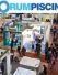 The Italian swimming pool trade fair, exceeding expectations