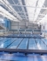  Myrtha Pools, piscine Made in Italy al  FINA Women’s Water Polo World League Intercontinental Tournament 2016