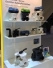 PERAQUA Austria will exhibit its newest range at the Splash show