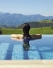 hiasbalit,hotel,puebloastur,asturias,piscina,wellness,moasaico