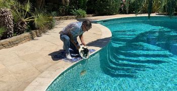 La lámpara LED Ecoproof de Seamaid para la renovación de piscinas