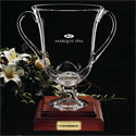 Marquis Spas awards its top-notch domestic and international distributors, dealers and sales people