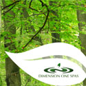 Element Grün: Energiesparende & Umweltfreundliche Whirlpools!
