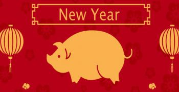 Joyeuse année du Cochon de terre !