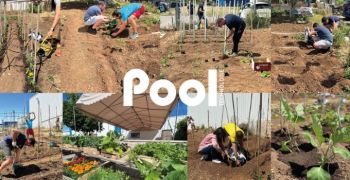 poolpotager,pool,technologie,fait,son,retour