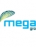 Successful restart for MegaGroup