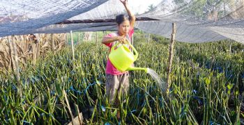 polytropic,engagee,preserver,environnement