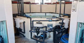 titre,pro,timp,formation,qualipac,afpa,beziers,piscine