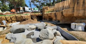 Une nouvelle piscine pour les loutres