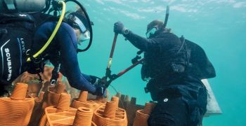 Vita Bad e Aqua Solar sostengono il programma rrreefs