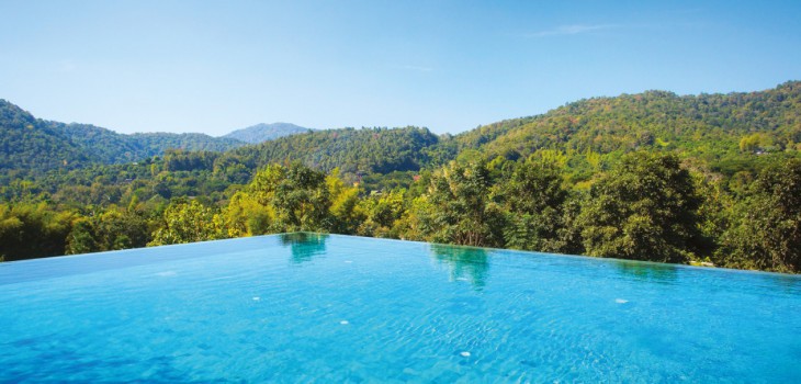 piscine entourée de forêts