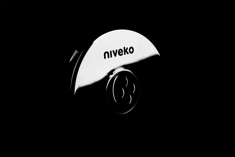 Eléments en acier inoxydable piscine buse Niveko Plus