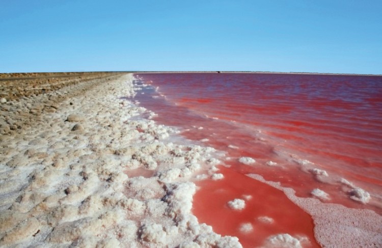 Les Salins-de-Giraud : un site unique, multicolore et envoûtant