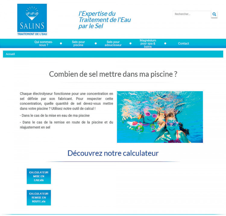 Calculateur en ligne Salins