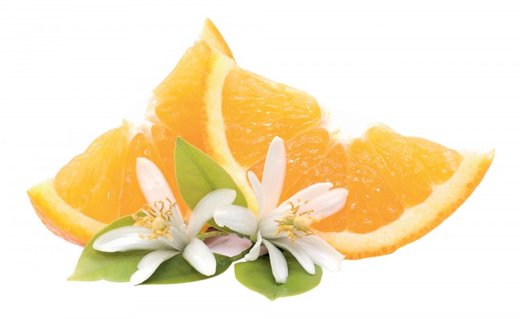 Fleur d'oranger : l'une des 3 fragrances proposées  de la gamme pour Spa Zénaé