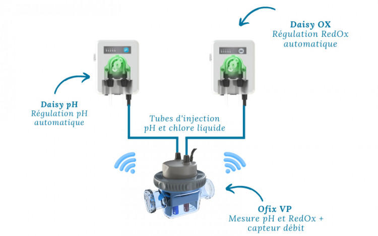 Schéma OFIX VP et Daisy pH ou Daisy OX CCEI