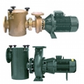 FDN cast iron swimming pool pumps