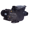 Heavy-duty Tristar  pump  Hayward