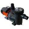 AstralPool presents Victoria Dual Speed, the economic and environmentally friendly two-in-one pump for swimming pools