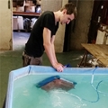 Des réparateurs de robots de piscine expérimentés