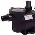 High performance variable speed pump with filtration manager