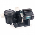 Pump for swimming pools IntelliFlo® with VSD Drive