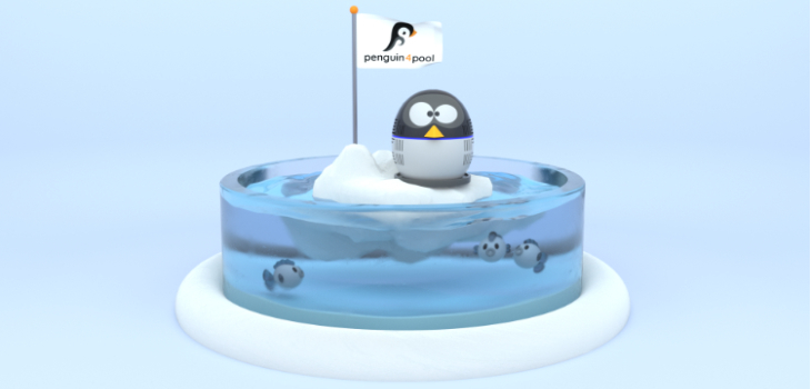 pompes à chaleur Penguin4Pool Warmpac