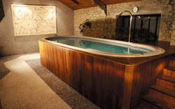 mosaic swim spa