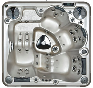 Hydropool Spa H495