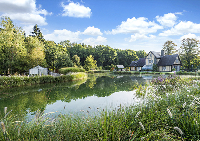 DE ZWEMVIJVER