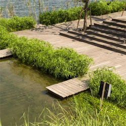 Bamboo Pool Garden