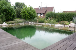 Naturpools und Schwimmteiche